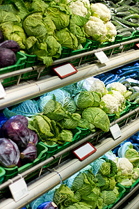 供港蔬菜图片-供港蔬菜素材-供港蔬菜模板下载