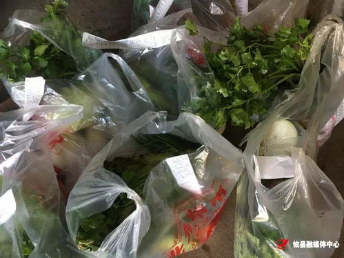 攸县 蔬菜协会联手美团 日销售蔬菜上万斤