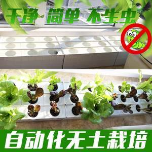 家庭管道式 阳台自动无土栽培设备水耕水培蔬菜种植槽箱盆容器